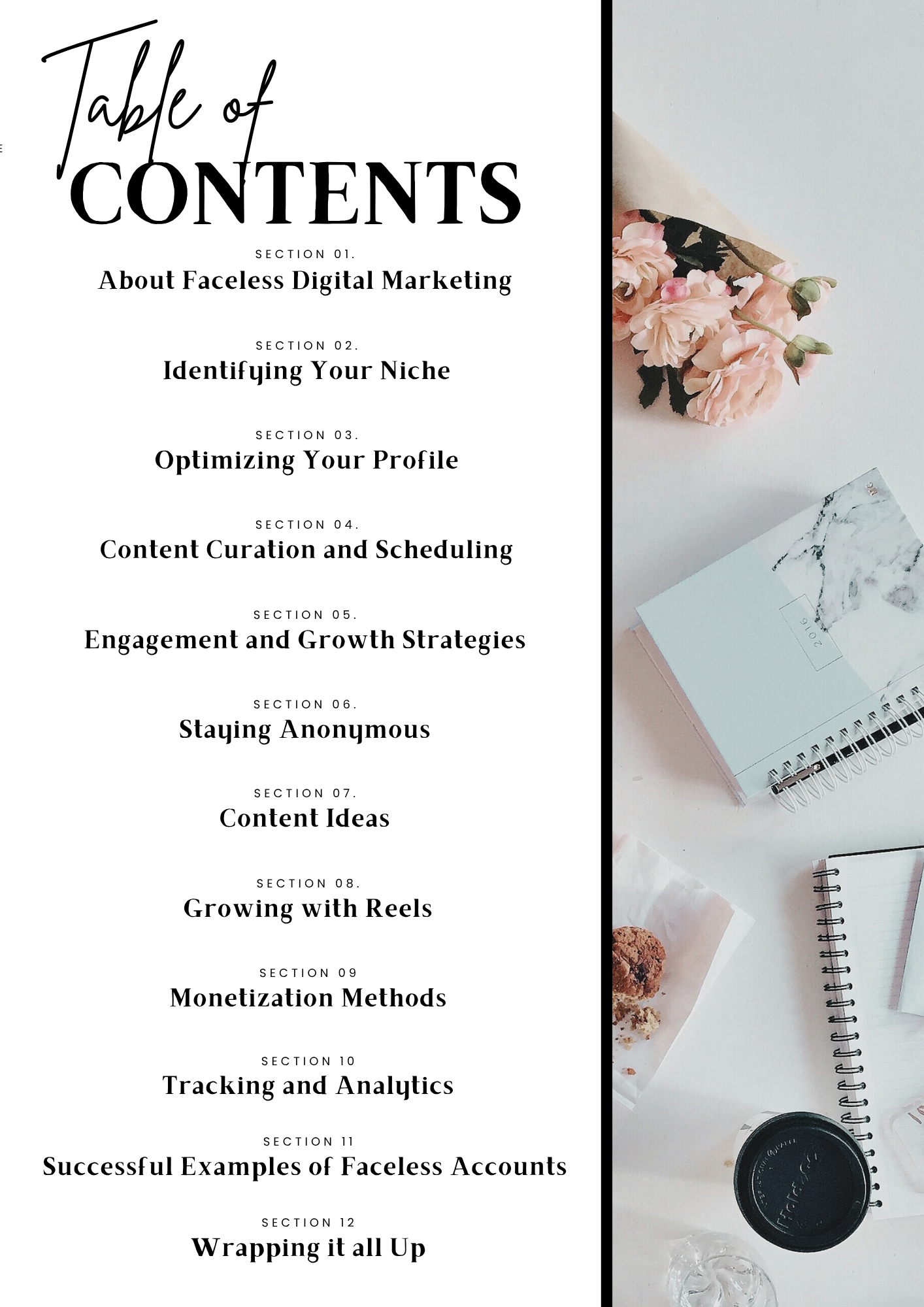 Faceless Digital Marketing Guide eBook